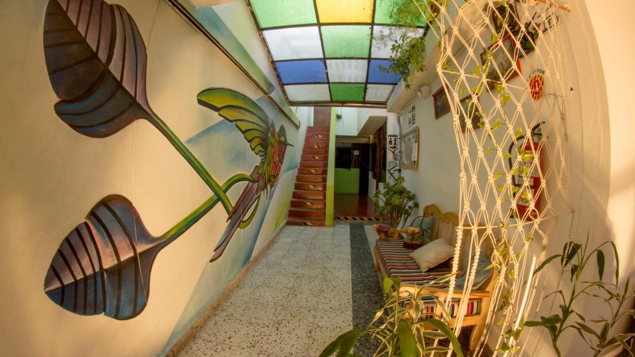 Guest house Ruta Alterna Backpacker *